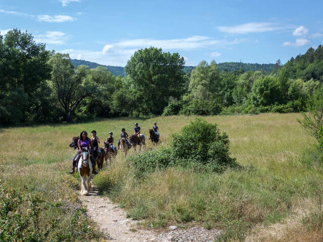 Balade à cheval : Réserve de Fondurane