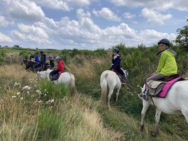 Initiation à poney