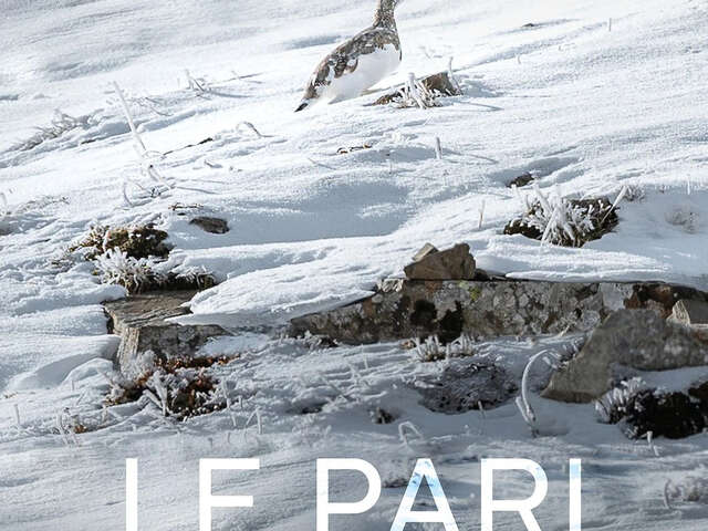 Le Pari