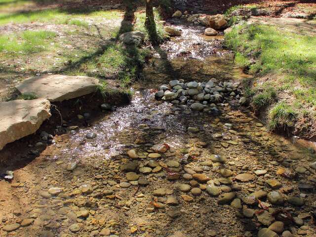 Journée randonnée du côté de Saint-Zacharie "Source des Nayes - Forêt du Défens"
