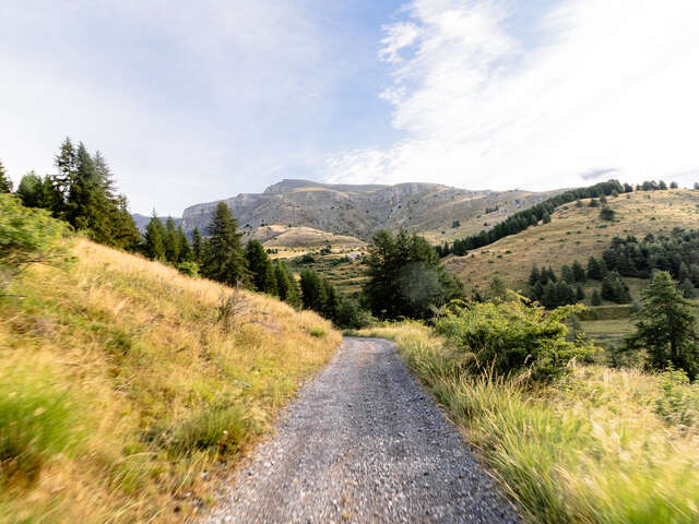 Rando PMR - Bois du Garnier