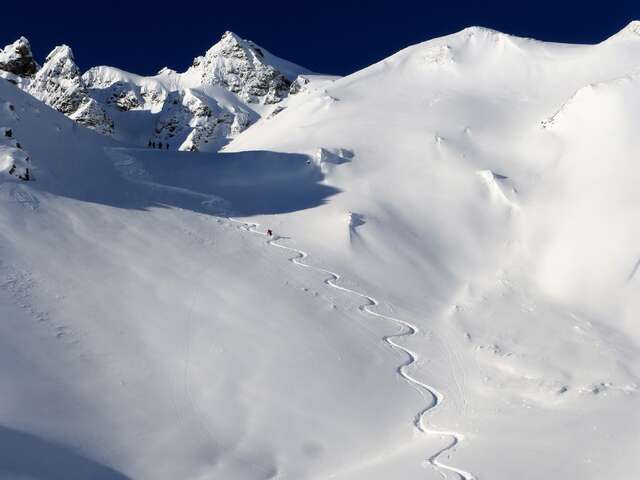 Alpine Experience