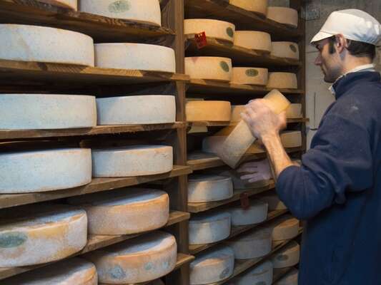 Fromagerie de Château-Queyras