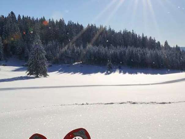 Snowshoes outings - Internationale Ski and snowboard school St Christophe