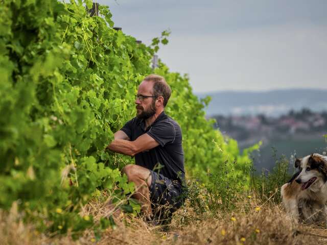 Le domaine des Bardes