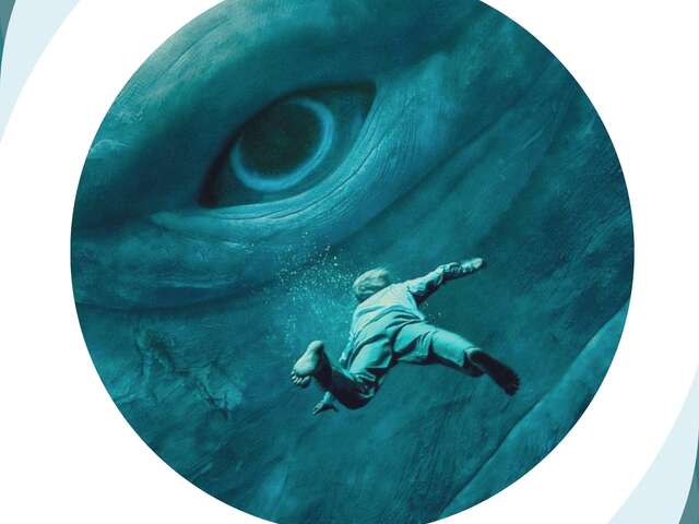 Dans l'œil de la baleine