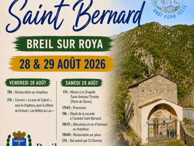 Saint Bernard party
