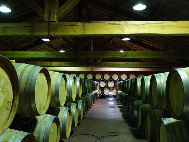 Dégustations et Animations au Domaine Pierre Gaillard
