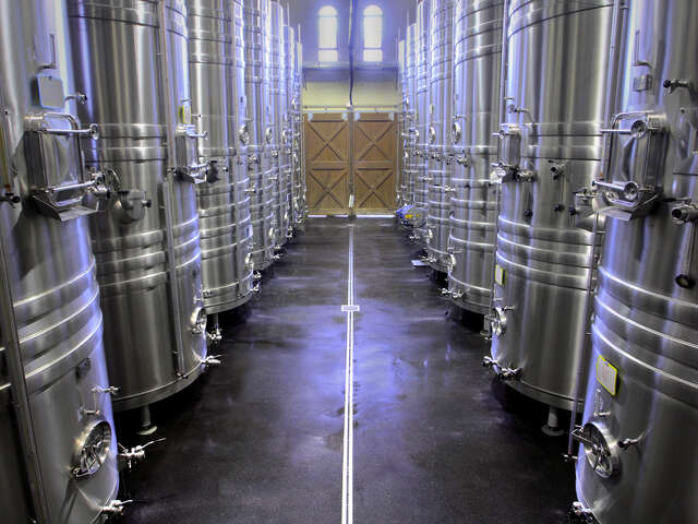 Visite guidée de cave et dégustation au Château Pas du Cerf