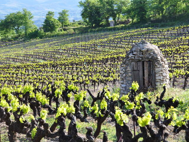 Dégustation gourmande - Domaine des Roches Fortes