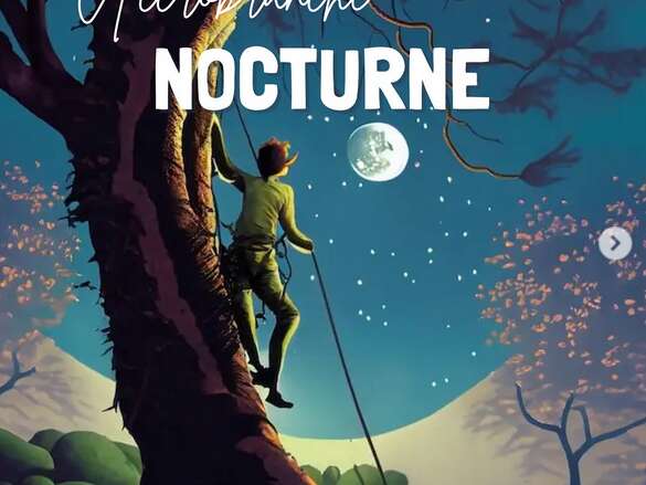 Nocturne à l'accrobranche