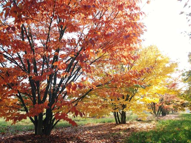 Besuch der Suppenzuchtbetriebe