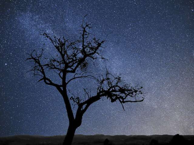 Tant qu'il y aura des étoiles : apéro dînatoire, film et balade nocturne