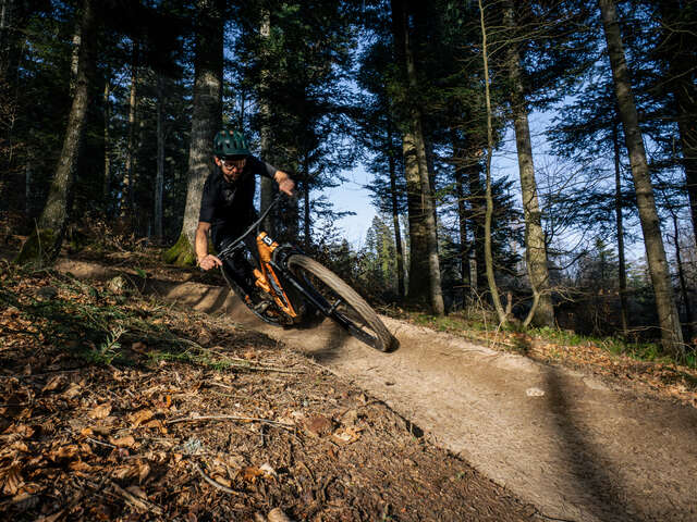 Espace VTT du Salève