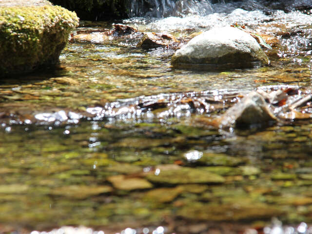Au coeur du Parc de la Sainte-Baume - 1/2 journée