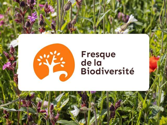 Fresque de la biodiversité