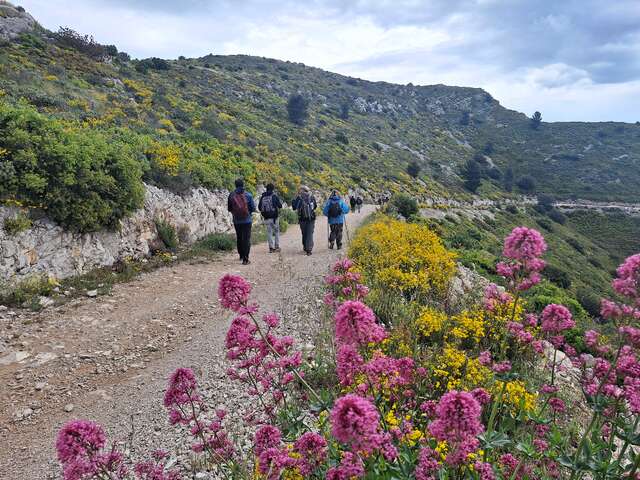 Le vallon de la Figuière - Journée
