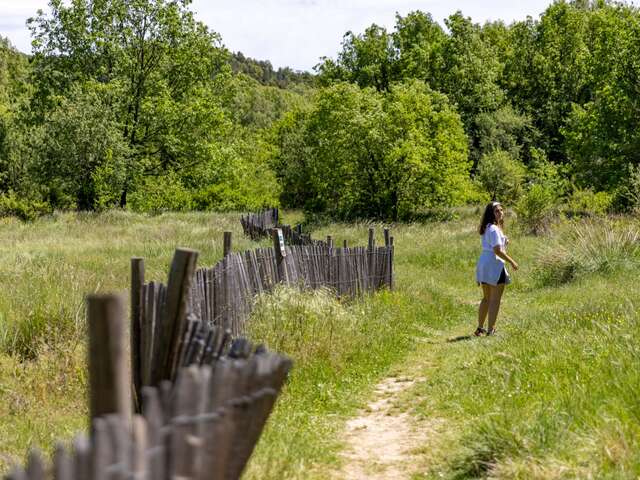 Randonnée : Découverte du Biotope de Fondurane - Montauroux