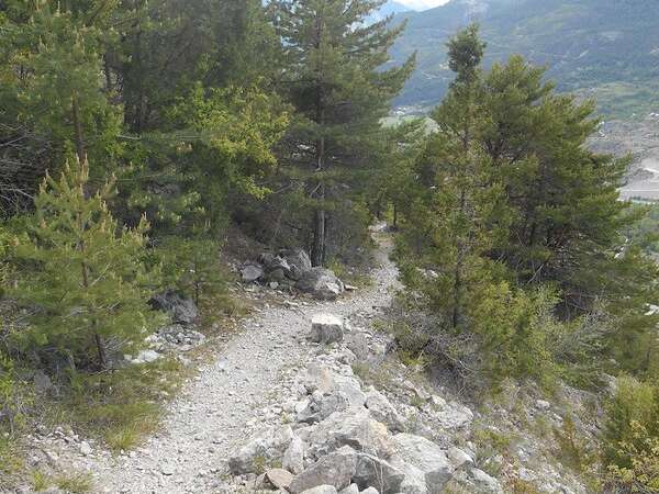 Les Grangettes - Saint-Crépin en VTT