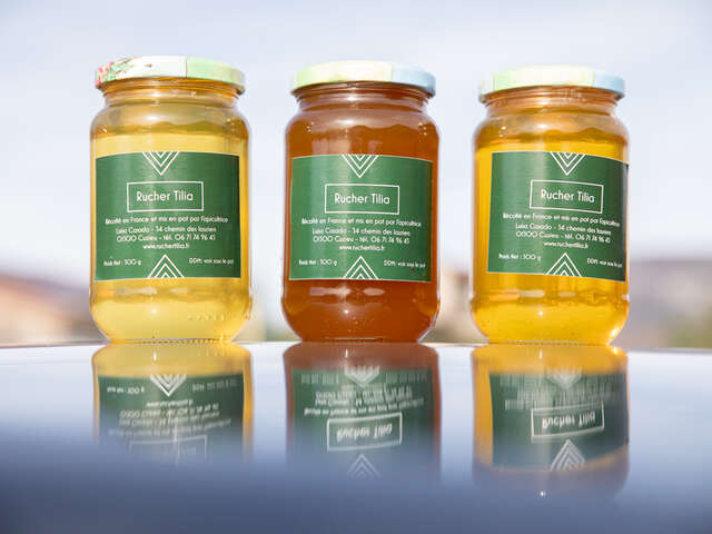 Rucher Tilia - vente de miel