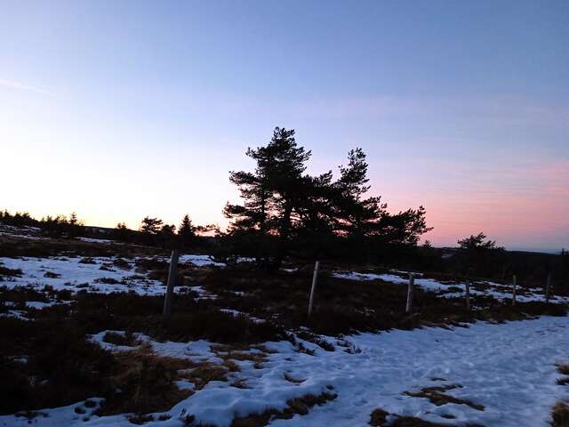 Réveillon sous les étoiles