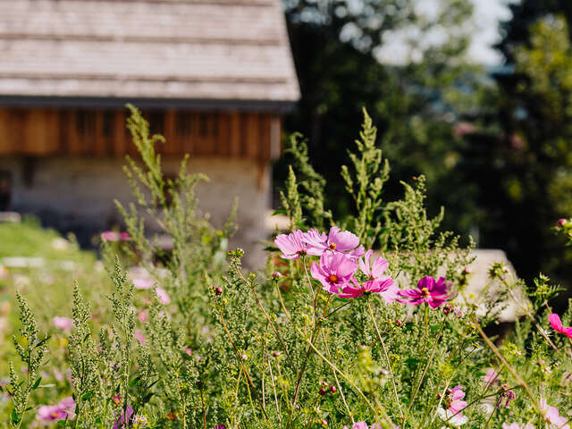 Forêt Ivre - Frédéric Molina