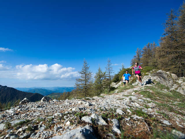 Sorties Trail confirmés - Rando Champsaur