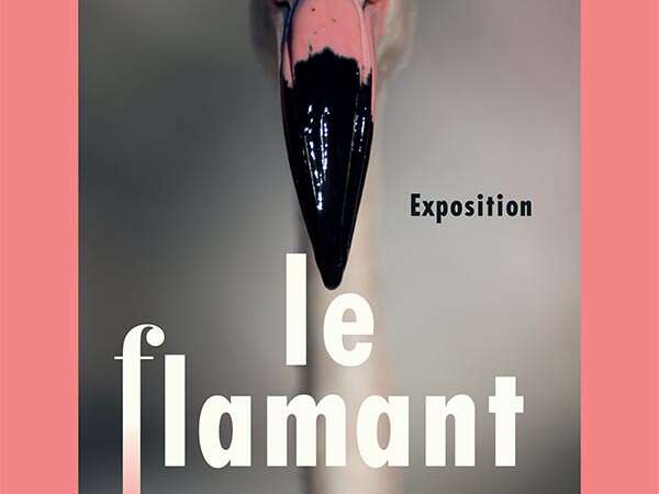 Exposition le flamant rose