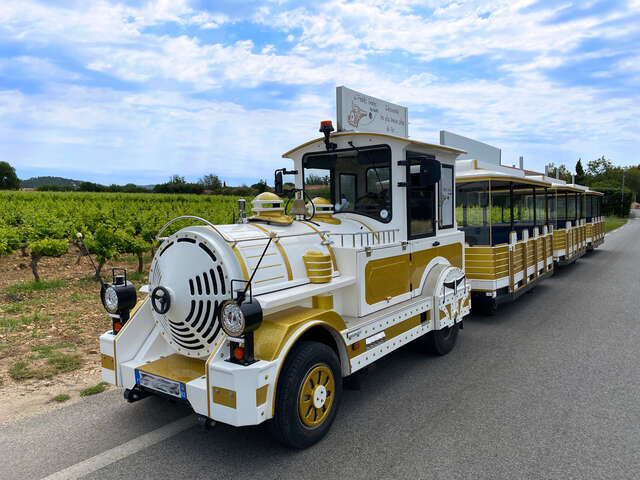 Circuit découverte de La Londe les Maures en Petit Train