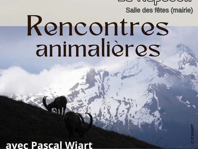 Rencontres animalières