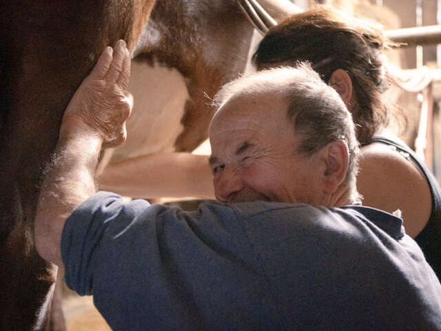 Visit of the Feto farm