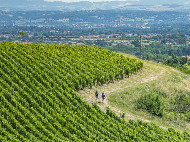 De gare en gare - Entre Sancti Martini et Chemin de Saint-Jacques au cœur des vignobles de la Loire Volcanique - 4J/3N