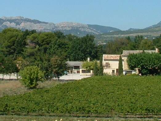 Balade pédestre au Domaine du Vas