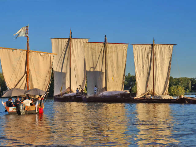 Ciné docs La loire