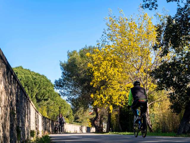 Parcours Cyclable du Littoral - V65 : Grimaud > Sainte-Maxime