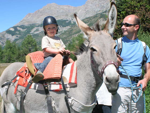 Vallouise Equitation