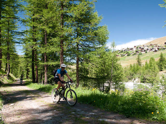 Bois de Chettetive en VTT