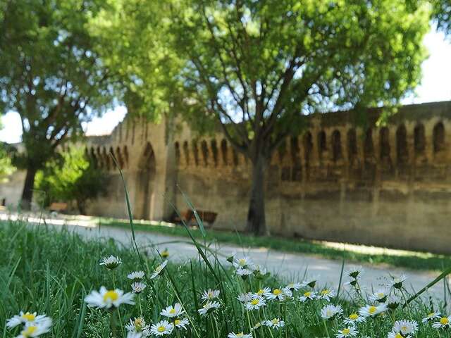 Paseo por las murallas