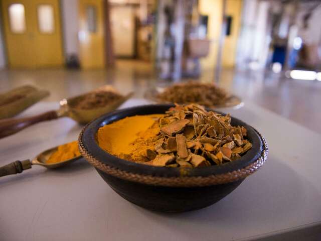 Les secrets des épices et infusions d’Arcadie