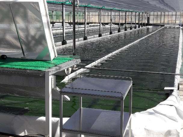 Spirulina Clos Sainte Aurore