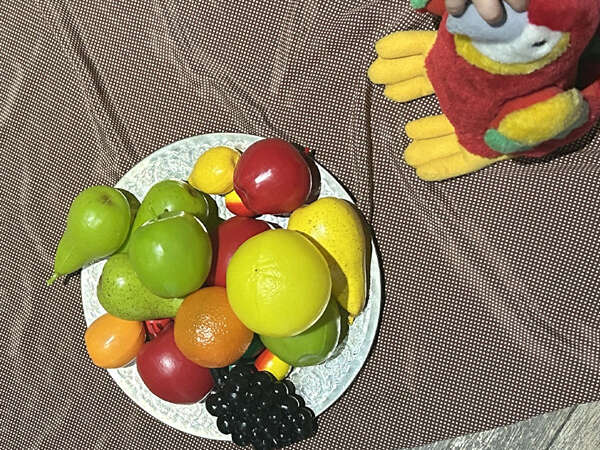 Visites animées en famille "Nature peinture !"