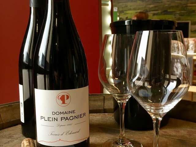 Dégustation vigneronne au Domaine Plein Pagnier