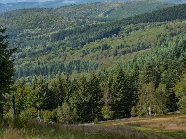 Plateau de la Loge-des-Gardes - Forêt domaniale de l'Assise