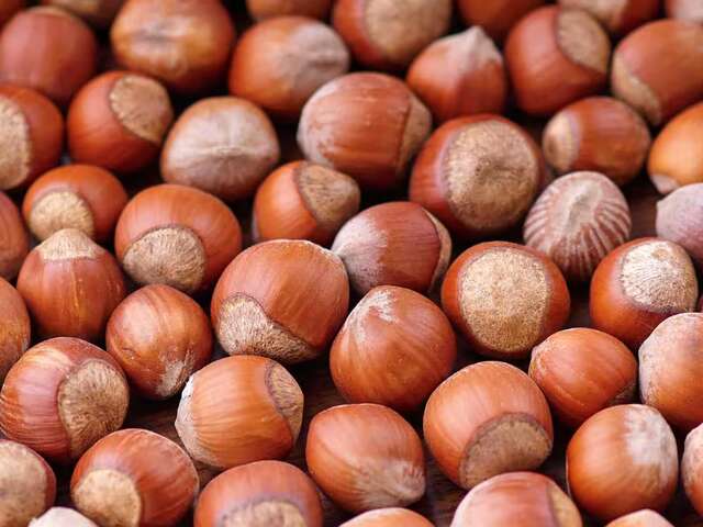 Fête de la Noisette : Valorisation de l'artisanat et des producteurs