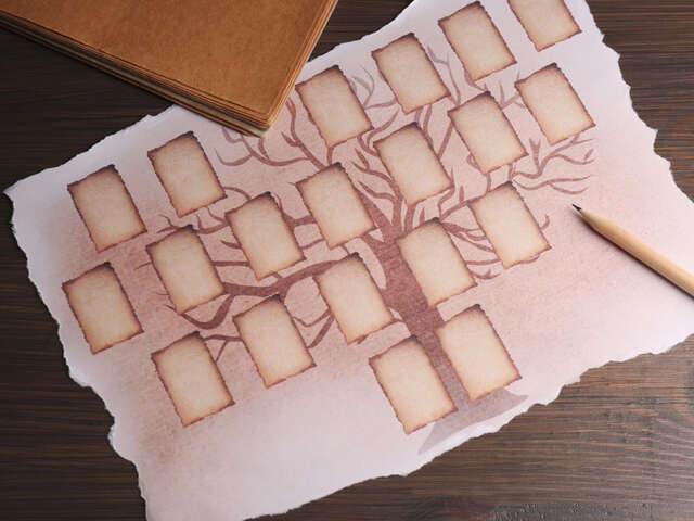 Atelier généalogie