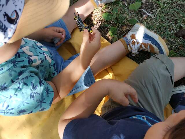 Atelier art - Les feuilles magiques