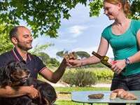 Pique-Nique dans les Vignes - Domaine de Jale