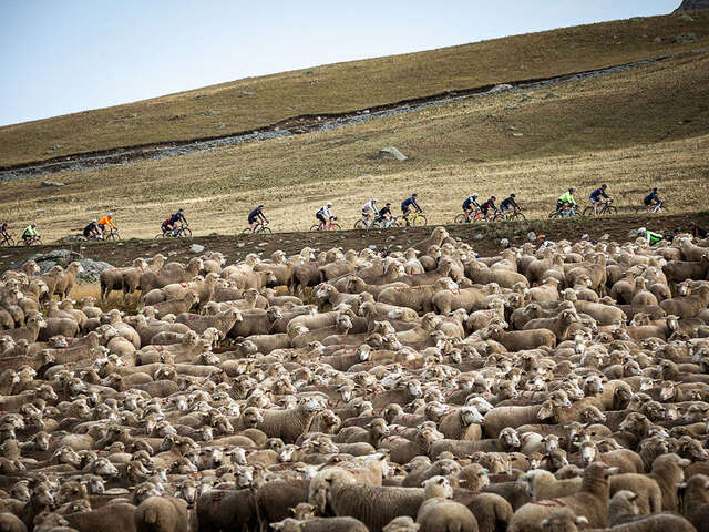 Haute Route Alpes