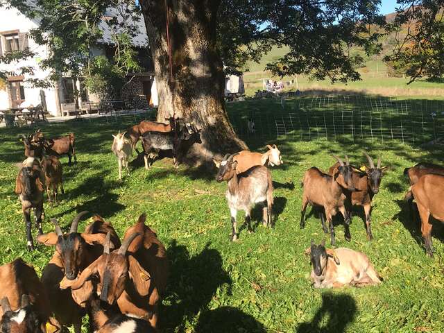 GAEC La Grange des Plans