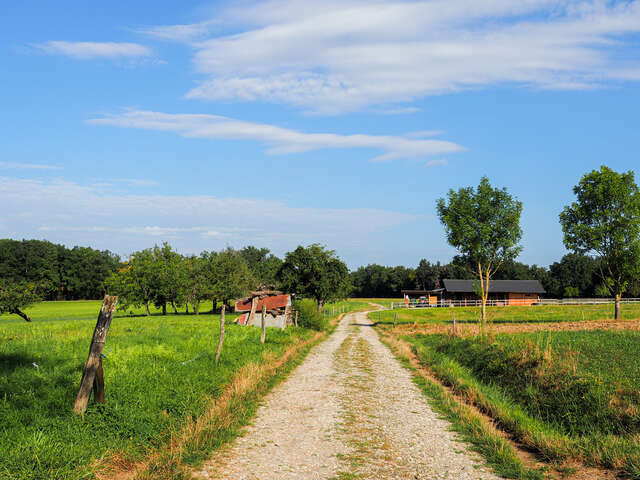 Hiking loop: Boucle de Loëx